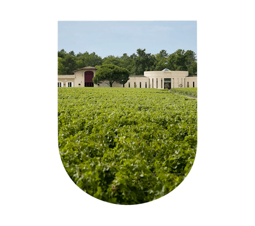 Domaine de Chevalier